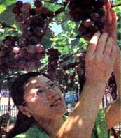 image004.jpg