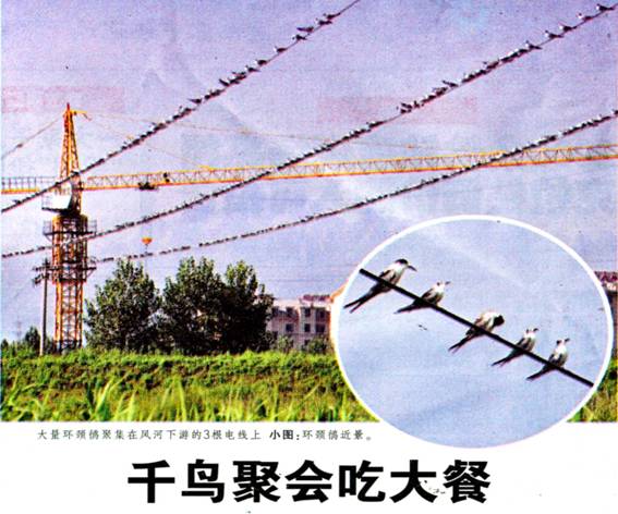 image003.jpg