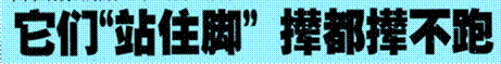 image002.gif