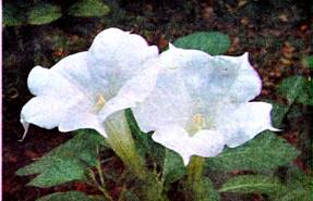 image008.jpg