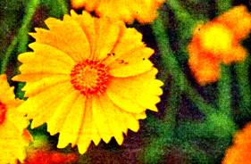 image012.jpg