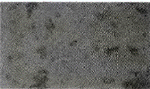 image013.gif