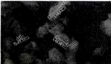 image014.gif
