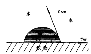 image001.gif