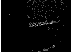 image005.gif