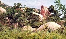 image017.jpg