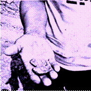 image004.gif