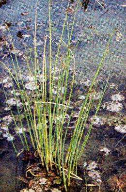 image004.jpg