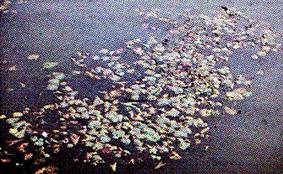 image005.jpg
