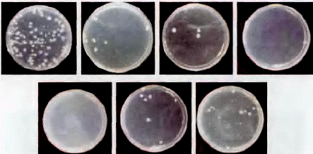 image011.gif