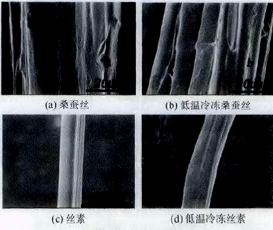 image013.gif