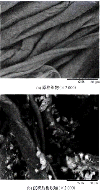 image008.gif