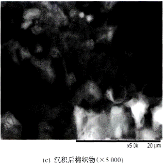 image010.gif
