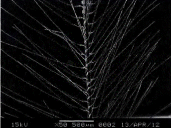 image027.gif