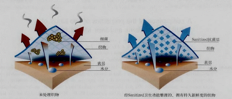 image006.gif