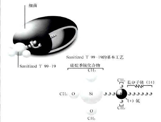 image013.gif