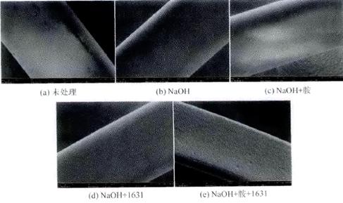 image001.jpg