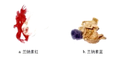 image004.gif