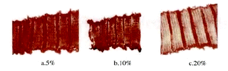 image006.gif