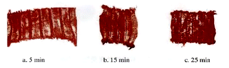 image008.gif