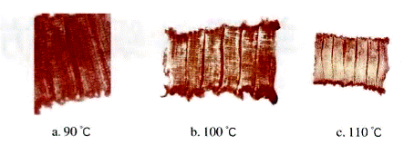 image009.gif