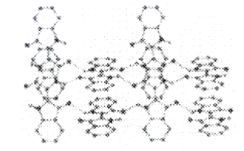 image006.gif