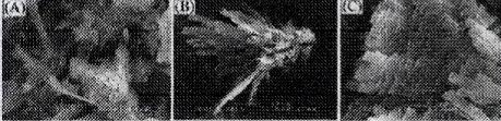 image008.gif