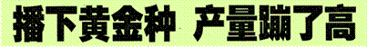 image002.gif