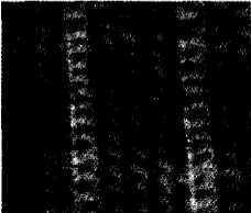 image006.gif