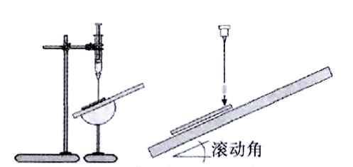 image005.gif
