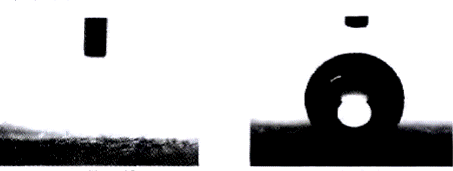 image007.gif