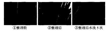 image010.gif