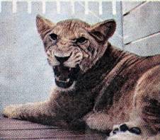 image009.jpg