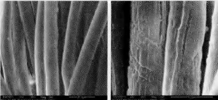 image020.gif