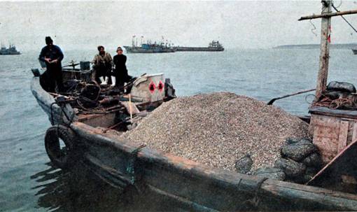 image004.jpg