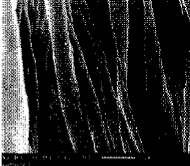 image002.gif