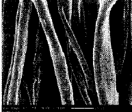 image003.gif
