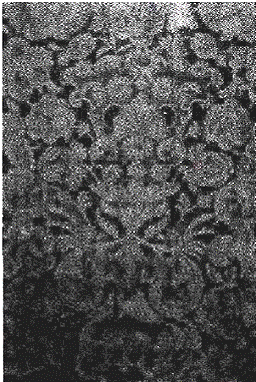 image001.gif