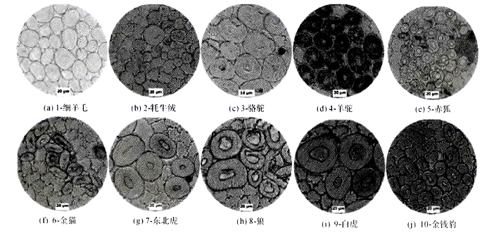 image013.gif