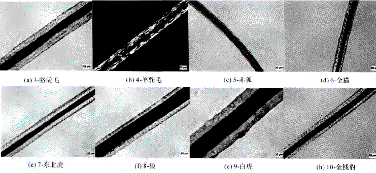 image015.gif
