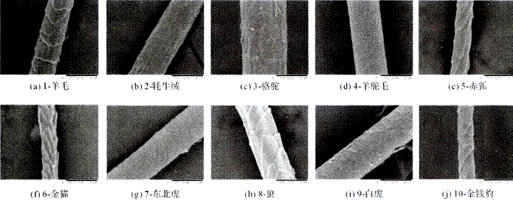 image016.gif