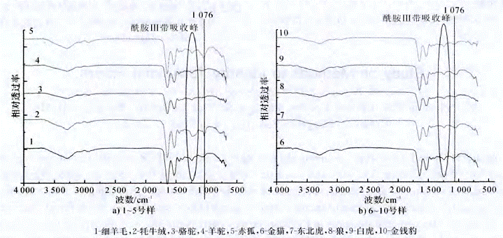 image017.gif