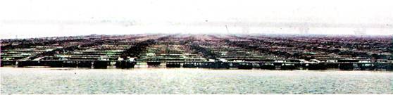 image006.jpg