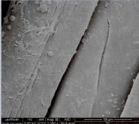 image038.gif