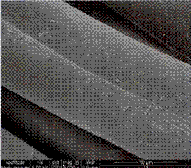 image039.gif