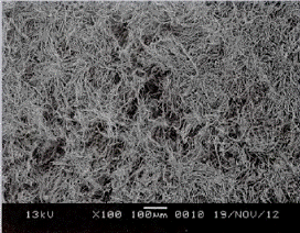image040.gif