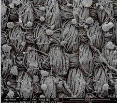 image041.gif