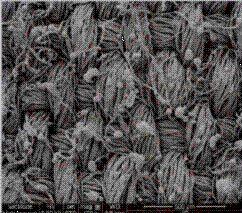 image042.gif