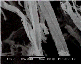 image043.gif