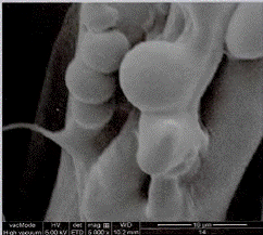 image044.gif